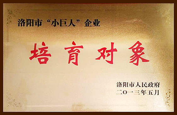 “小(xiǎo)巨人”企业培育对象